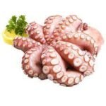 POULPE FRAIS AU KG