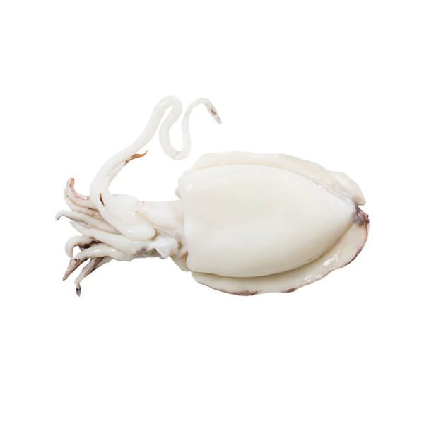 SEICHE NETTOYEE ( SEPIA ) AU KG