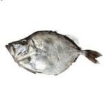 SAINT PIERRE METALLISE AU KG