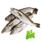 MERLAN FRITURE AU KG