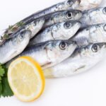 SARDINE AU KG