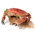 CRABE AU KG