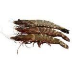 CREVETTE GRISE 50/60 AU KG