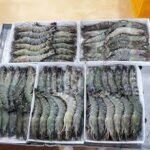 CREVETTE GRISE 50/60 2KG*10