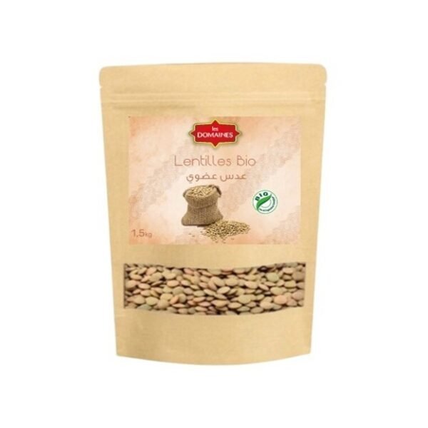 LENTILLES BIO DOMAINES 500GR