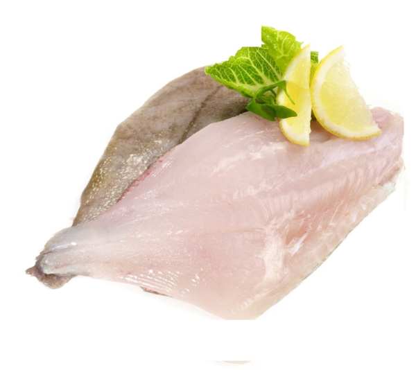 FILET DE S. PIERRE CONGELE KG